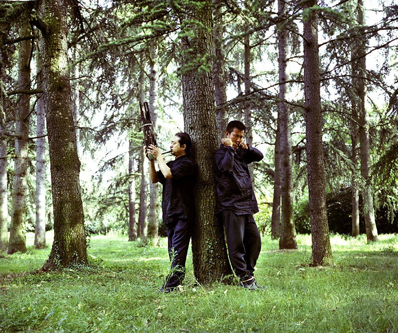 musiciens près d'un arbre