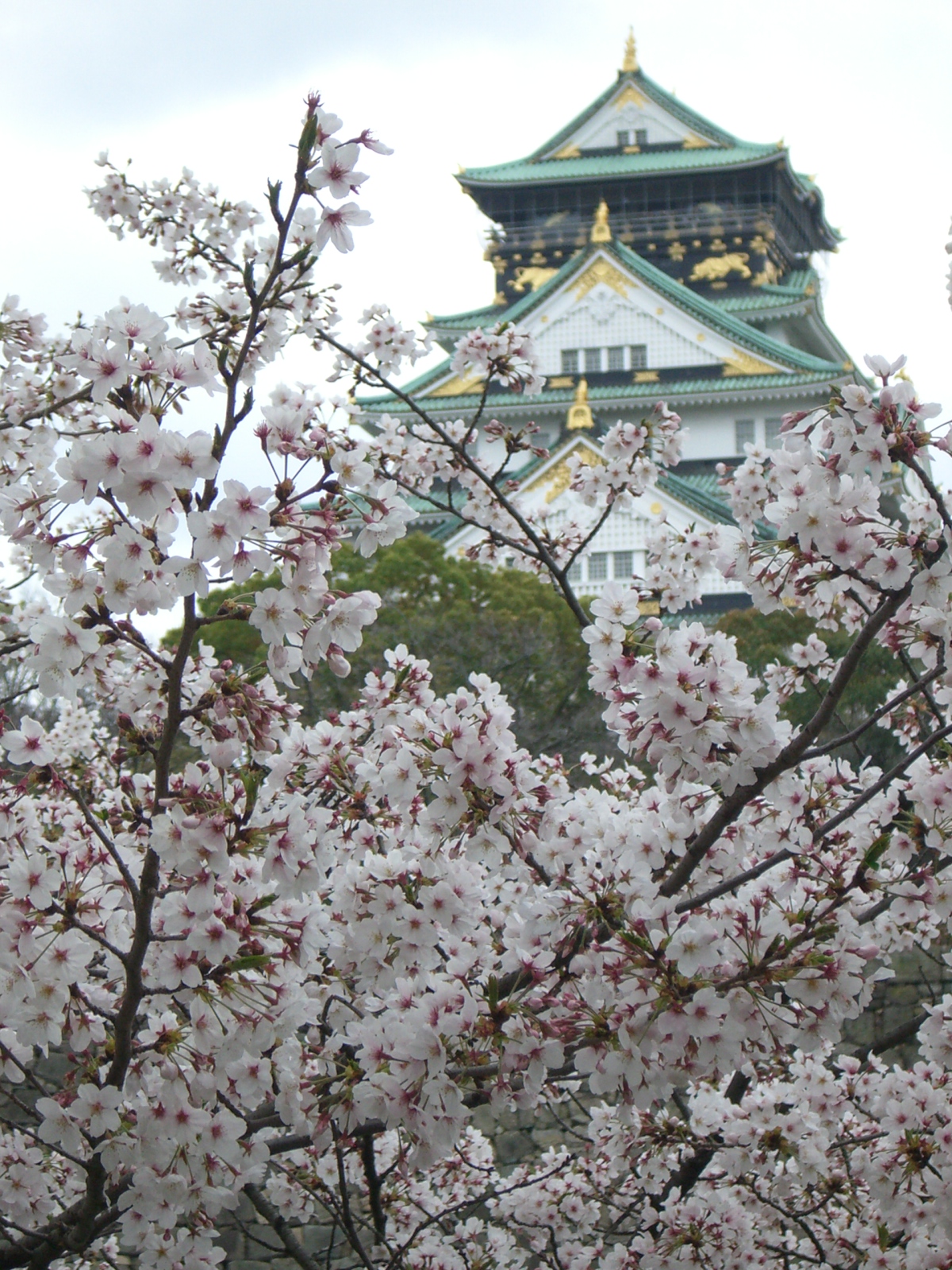 Château d'Osaka