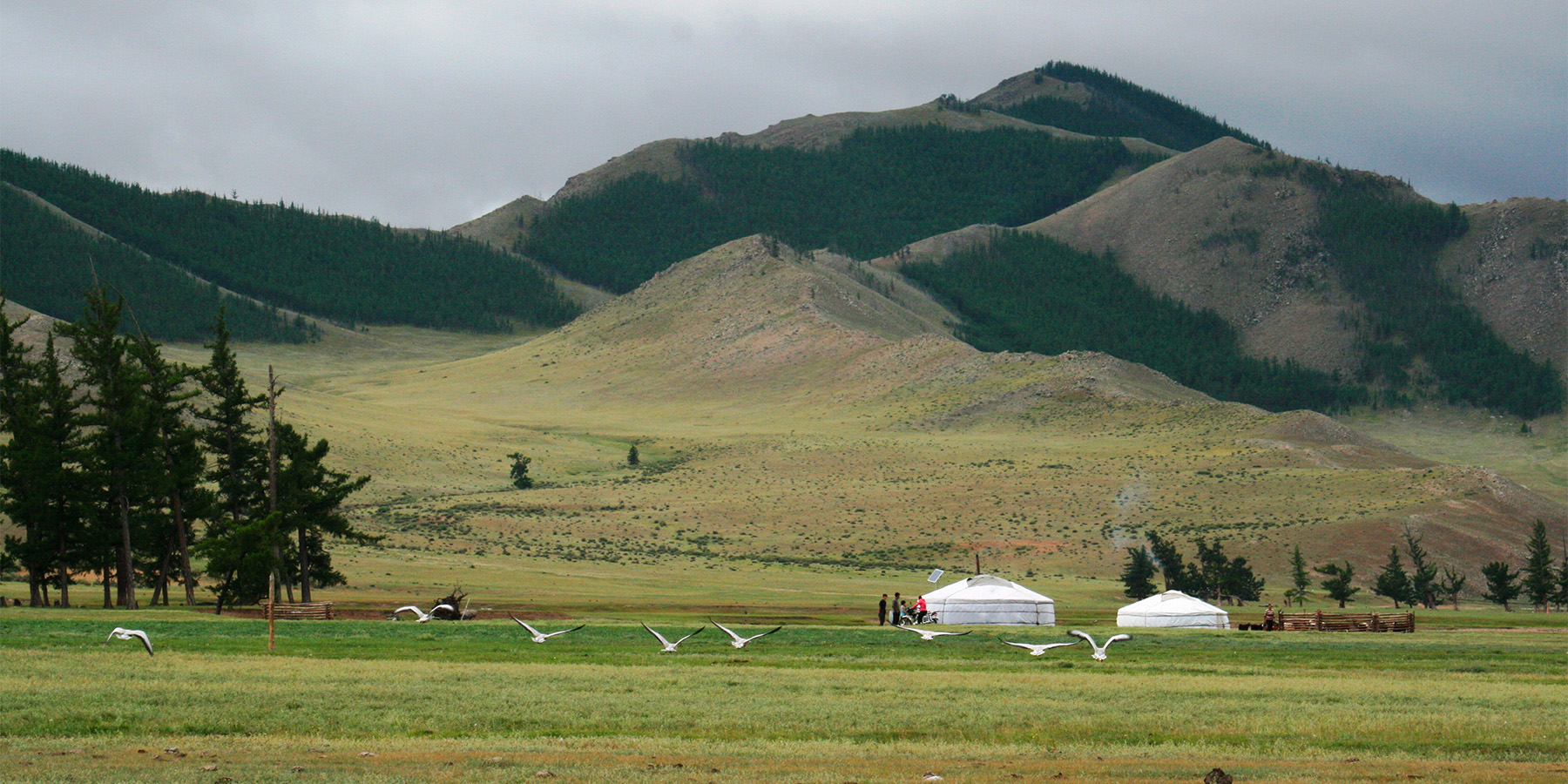 Steppe by steppe / COMPLET