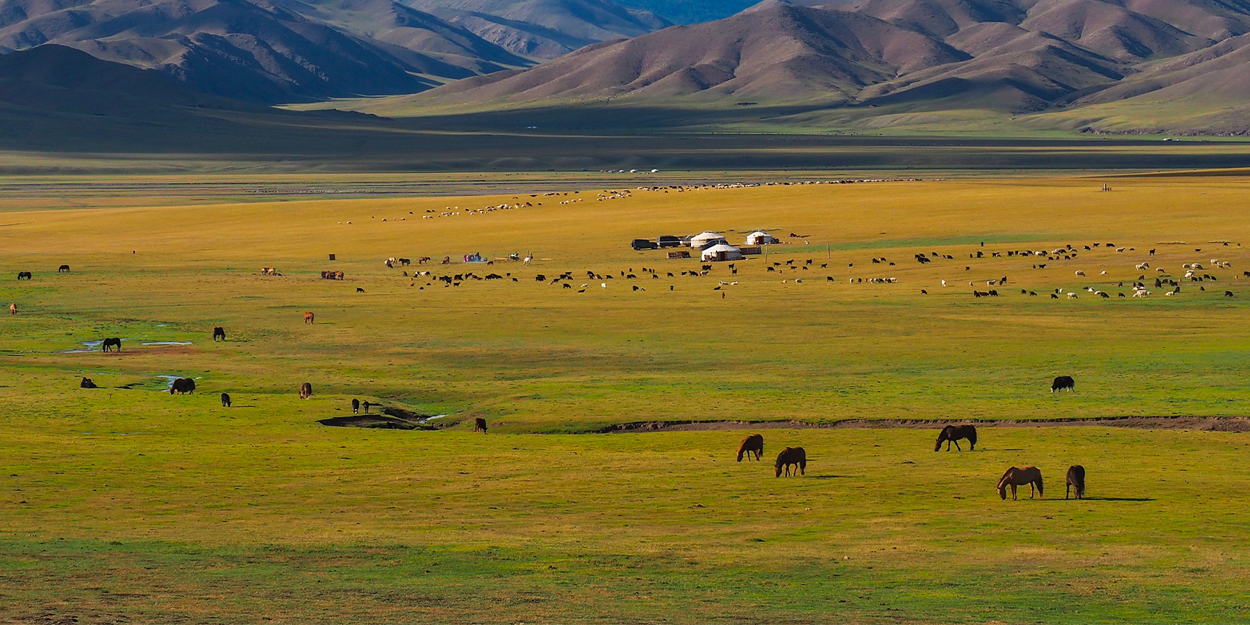 Des steppes à Ulaanbaatar : des femmes mongoles en mouvement